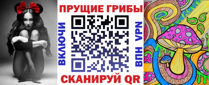 Купить где  Озёры  Псилоцибиновые грибы Cubensis 
